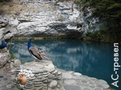 Небольшое Голубое озеро привлекает туристов, а с ними и местных бизнесменов, предлагающих сфотографироваться с ощипанным павлином. Отдых в Абхазии в бархатный сезон