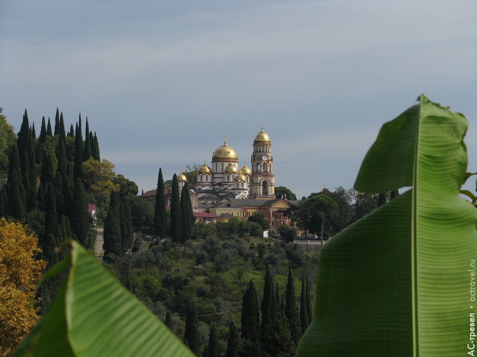     XIX .    () .      III        .      