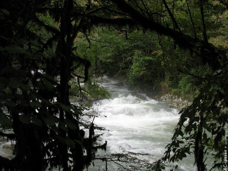 Форель разводится в проточных водоемах, питаемых бурной и очень холодной горной речкой. Отдых в Абхазии в бархатный сезон