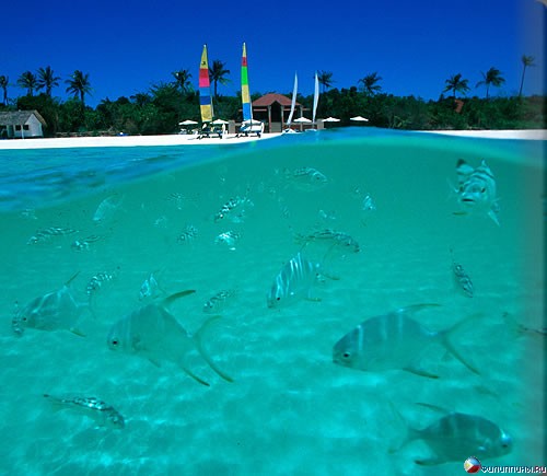 ������� �����. ����� Amanpulo, ���������