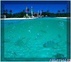 ������� �����. ����� Amanpulo, ���������