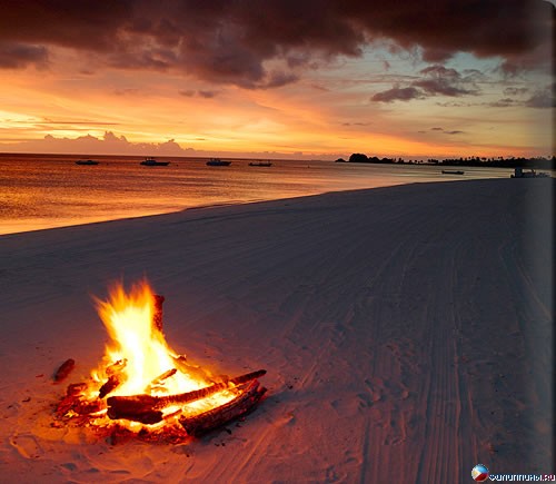 ������ �� �����. ����� Amanpulo, ���������