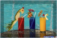 ����� Boracay Mandarin, �. �������, ���������