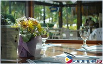 ����� Boracay Regency, �. �������, ���������