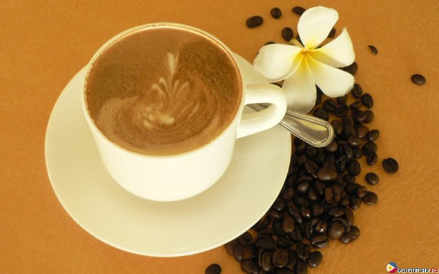 ����� Boracay Regency, �. �������, ���������