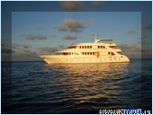 Дайверско-круизная яхта Carpe Diem. Сафари по Мальдивам