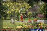 ������� Club Med Bali
