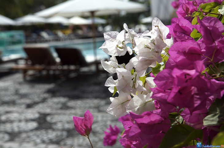 ������� Club Med Bali