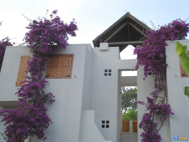 ������� Club Med Palmiye, ������