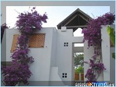 ������� Club Med Palmiye, ������