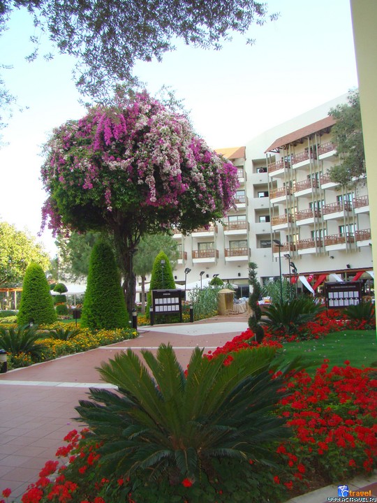 ������� Club Med Palmiye, ������