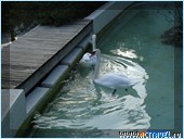 ������� Club Med Palmiye, ������
