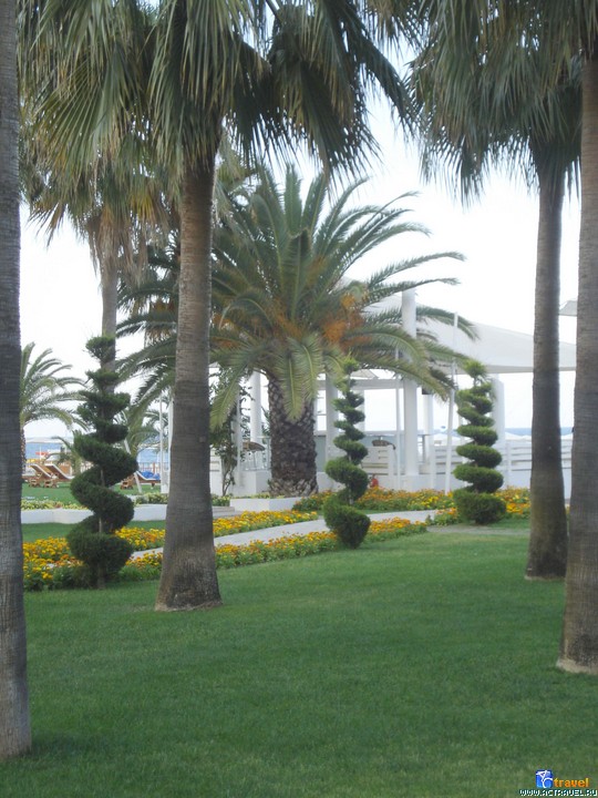 ������� Club Med Palmiye, ������