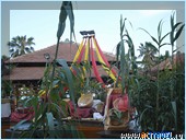 ������� Club Med Palmiye, ������