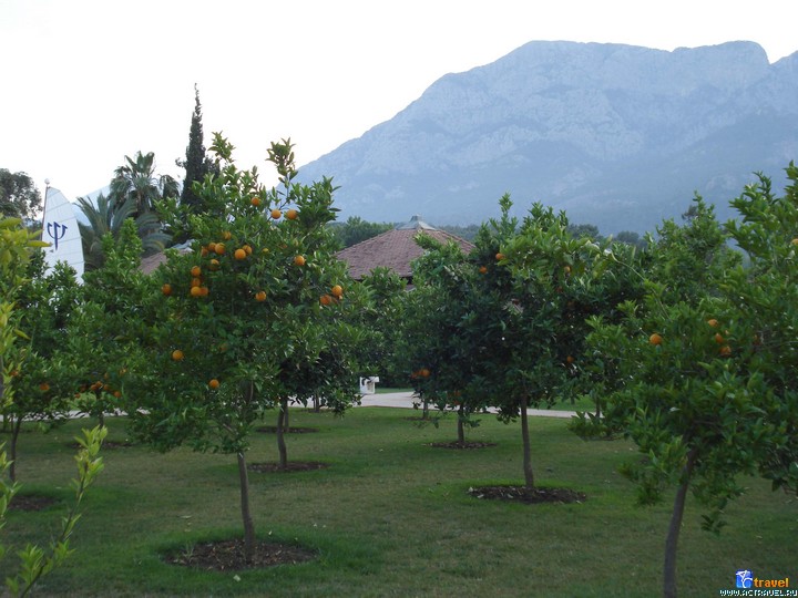 ������� Club Med Palmiye, ������