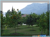 ������� Club Med Palmiye, ������