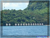 ����� Club Noah Isabelle