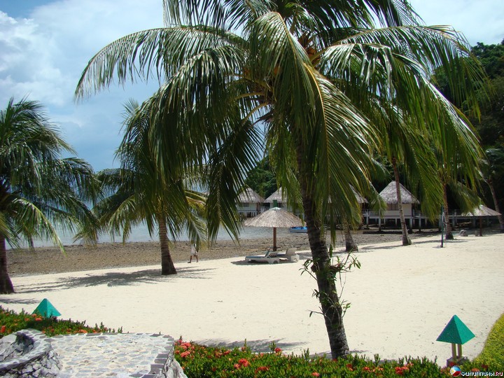 ����� Club Noah Isabelle