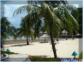 ����� Club Noah Isabelle