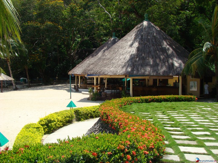 ����� Club Noah Isabelle