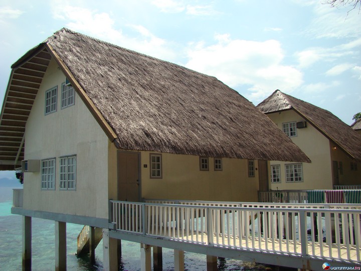 ����� Club Noah Isabelle