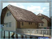 ����� Club Noah Isabelle