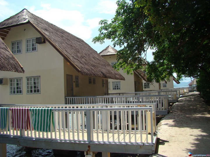 ����� Club Noah Isabelle