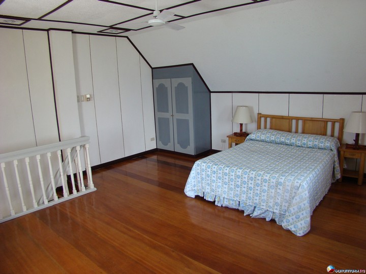 ����� Club Noah Isabelle