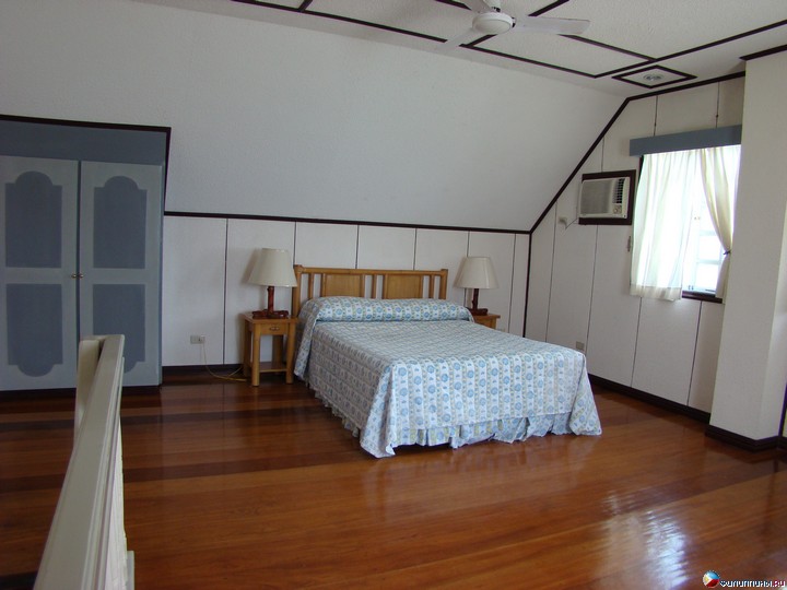 ����� Club Noah Isabelle