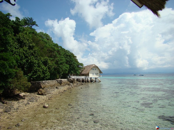 ����� Club Noah Isabelle