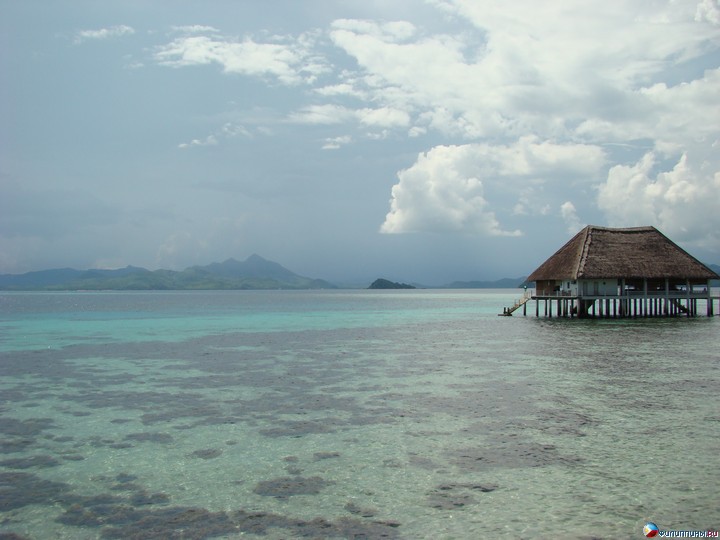 ����� Club Noah Isabelle