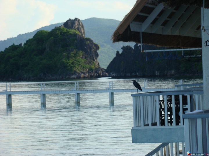 ����� Club Noah Isabelle