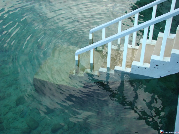 ����� Club Noah Isabelle