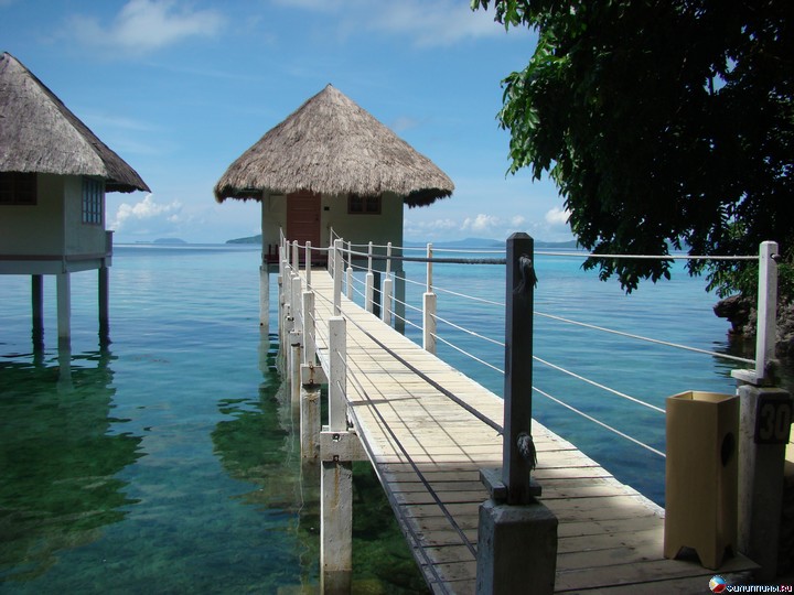 ����� Club Noah Isabelle