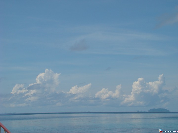 ����� Club Noah Isabelle