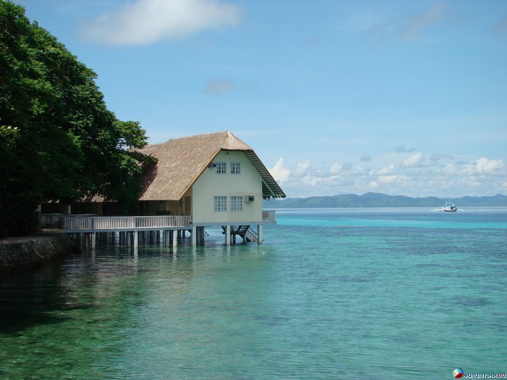 ����� Club Noah Isabelle