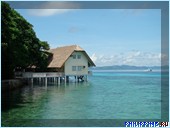 ����� Club Noah Isabelle