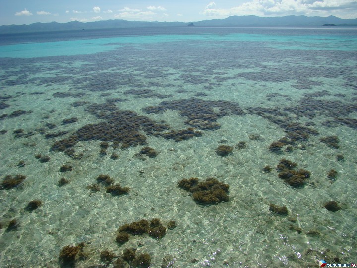 ����� Club Noah Isabelle