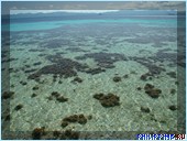 ����� Club Noah Isabelle