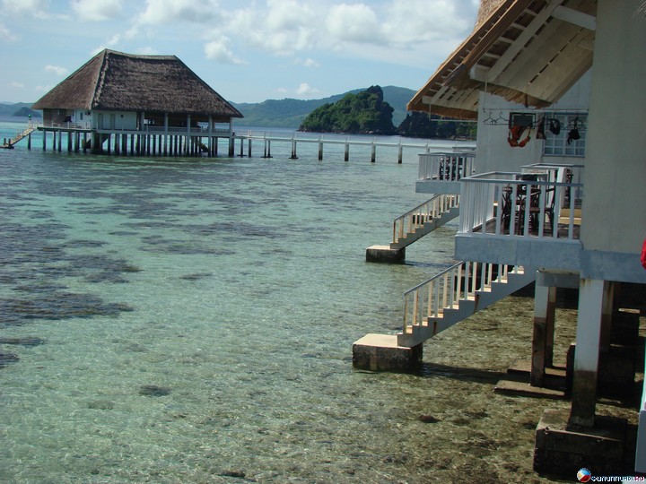 ����� Club Noah Isabelle