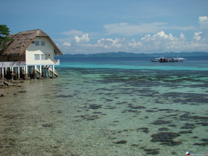 ����� Club Noah Isabelle