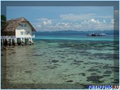 ����� Club Noah Isabelle