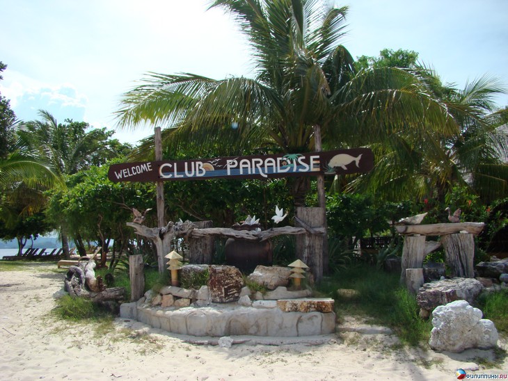  Club Paradise