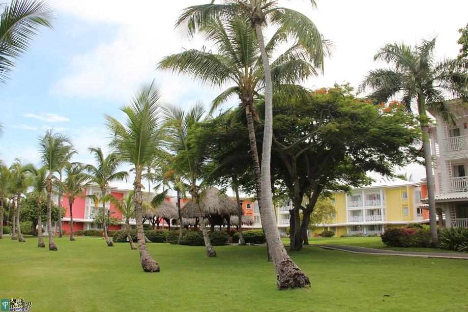 Территория городка поражает чистотой, ухоженностью, пышностью и разнообразием растительности. Club Med Punta Cana