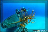 -   Cayman Aggressor IV,  