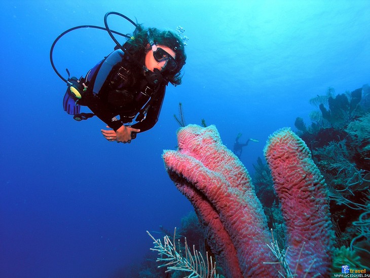 -   ,  Utila Aggressor