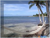 , ,   Utila Aggressor