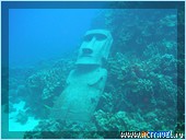 На о. Пасхи можно совершить уникальное подводное плавание: дайверы видят под водой копию истукана-моаи