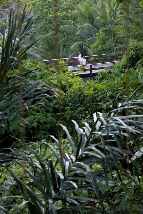 .  Four Seasons Resort Bali at Sayan
