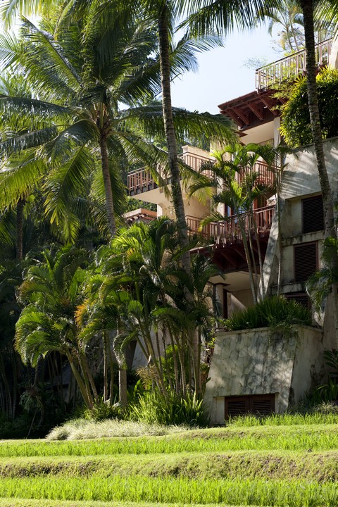   Four Seasons Resort Bali at Sayan